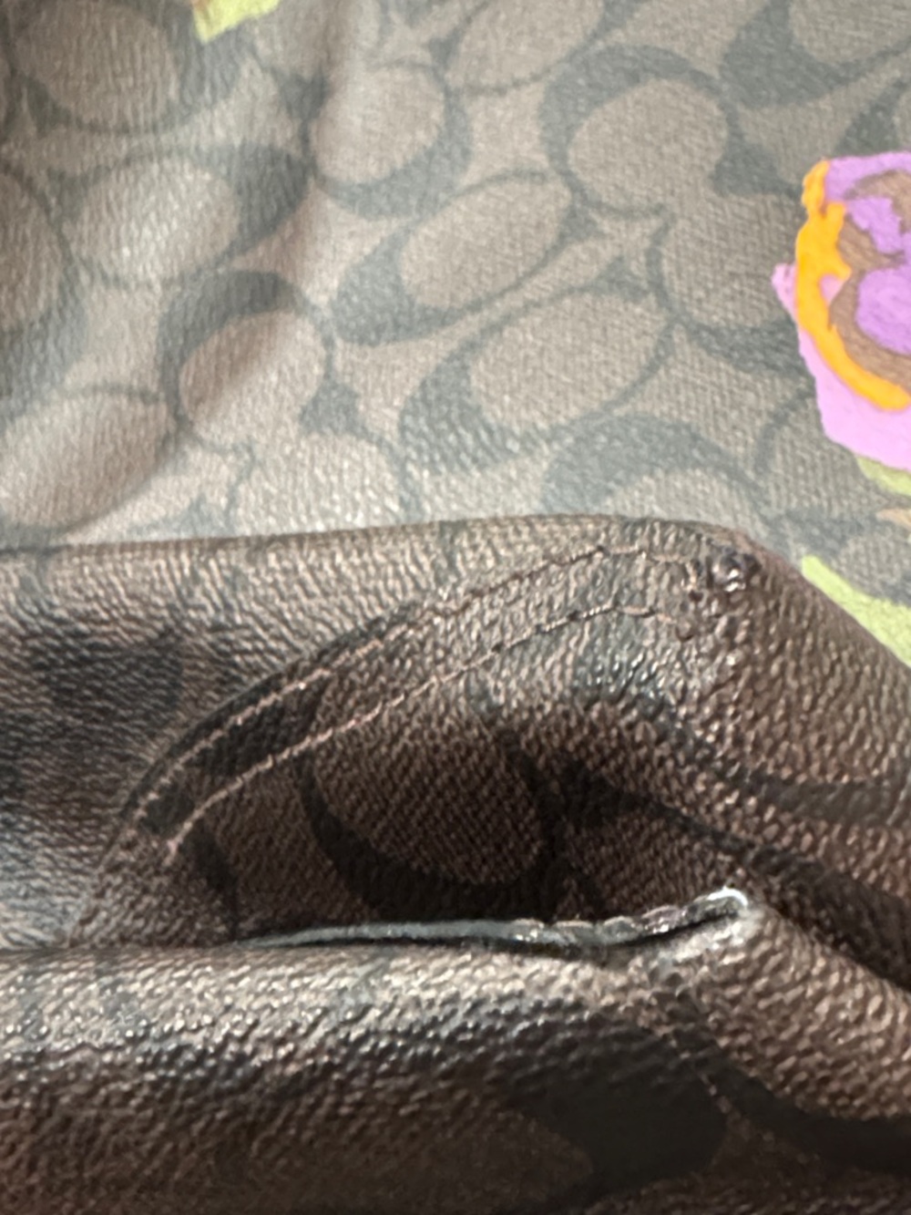 Coach Bag City Tote in Signature Brown with Floral Print - Picture 16 of 17